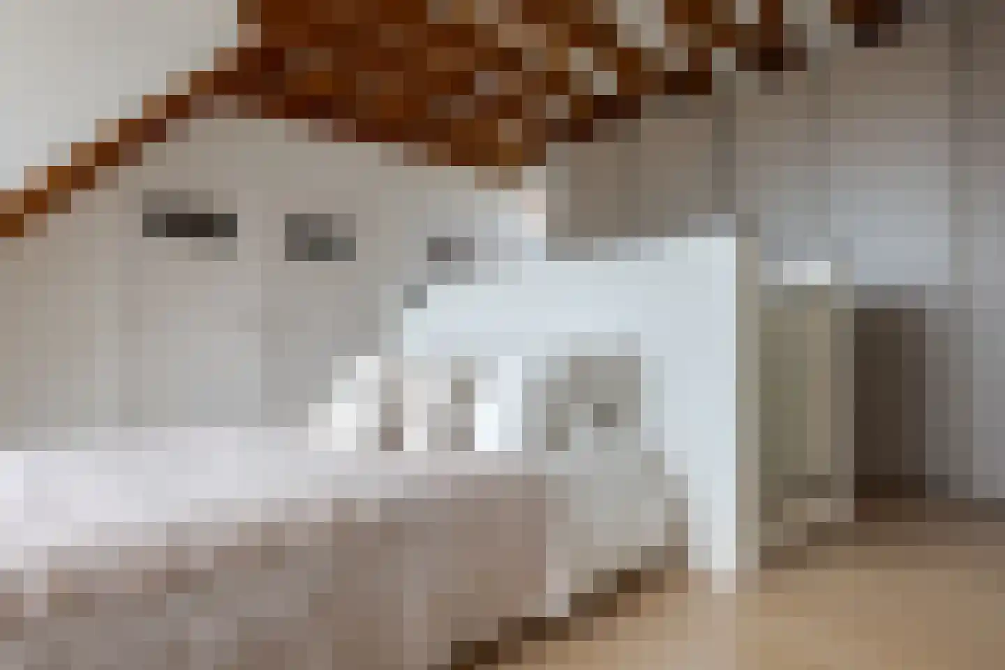 Van Karnebeekstraat 91 A Zwolle thumbnail 36