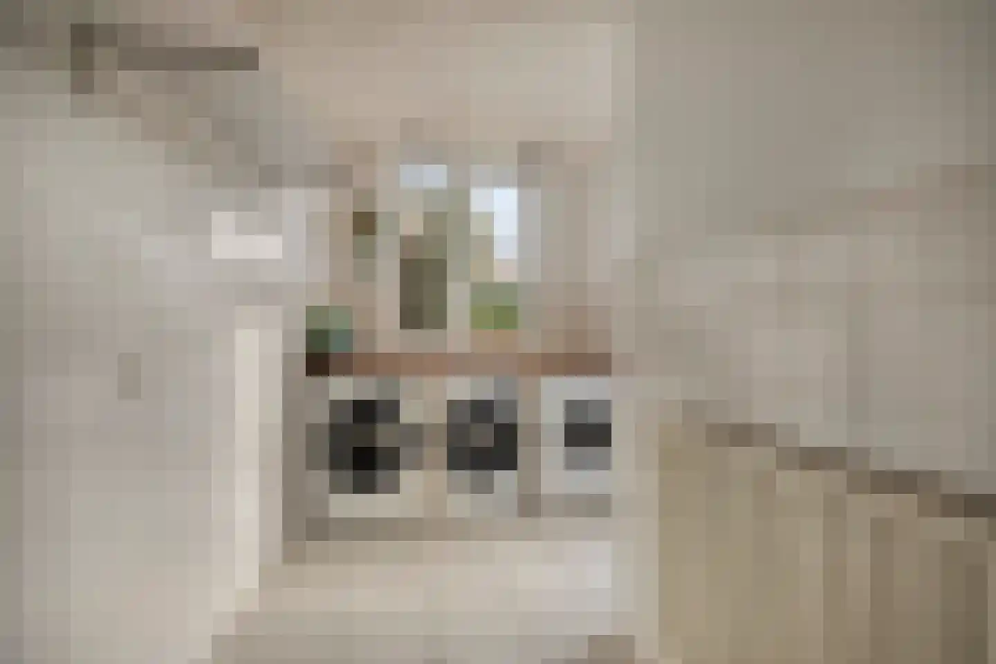 Van Kemenadelaan 4 Nuenen thumbnail 12
