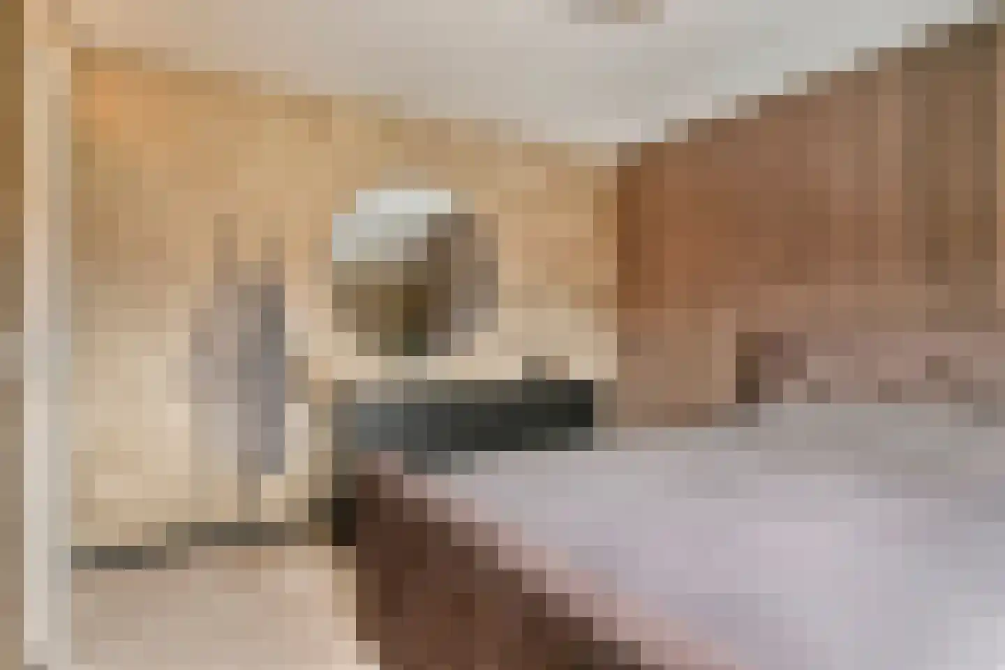 Van Kemenadelaan 4 Nuenen thumbnail 15