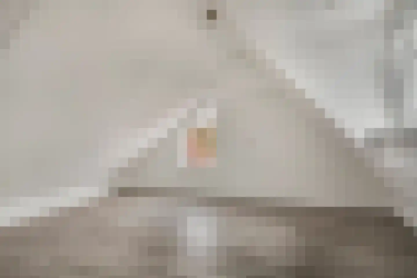 Van Kemenadelaan 4 Nuenen thumbnail 21