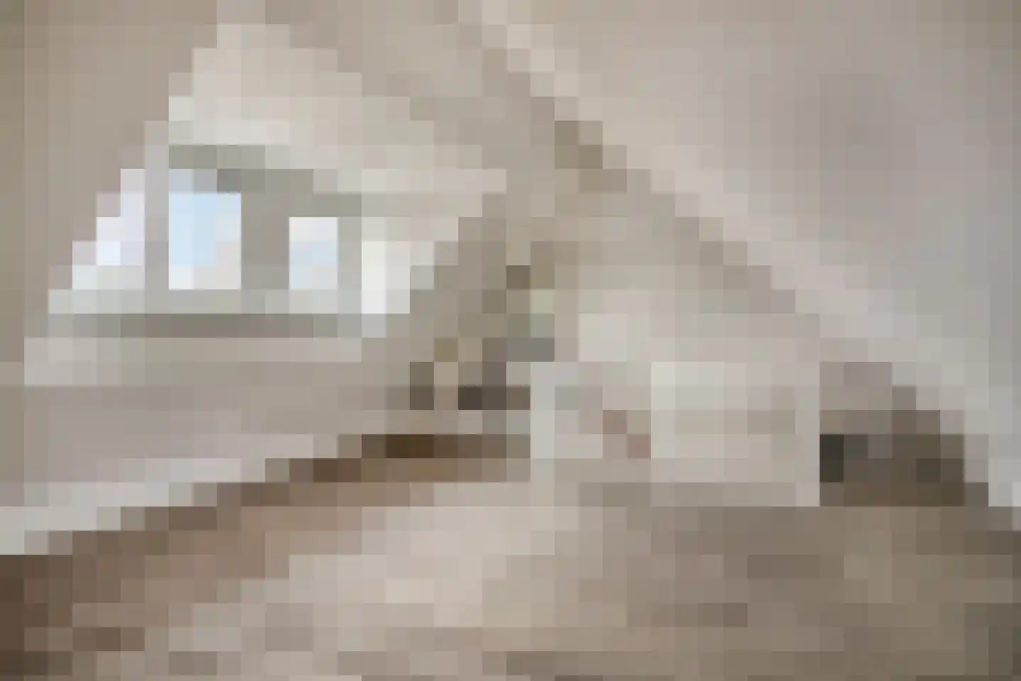 Van Kemenadelaan 4 Nuenen thumbnail 22