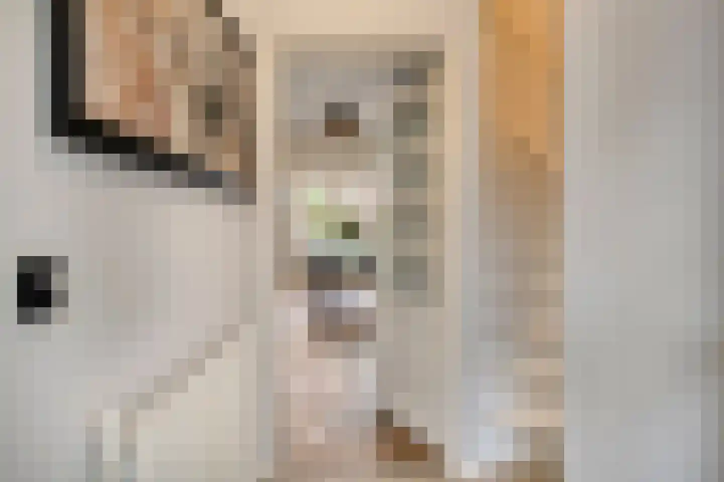 Van Kemenadelaan 4 Nuenen thumbnail 4