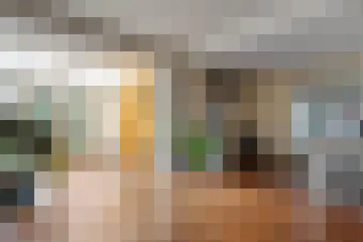 van Kempenhof 3 Dalfsen thumbnail 11