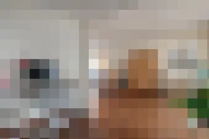 van Kempenhof 3 Dalfsen thumbnail 12