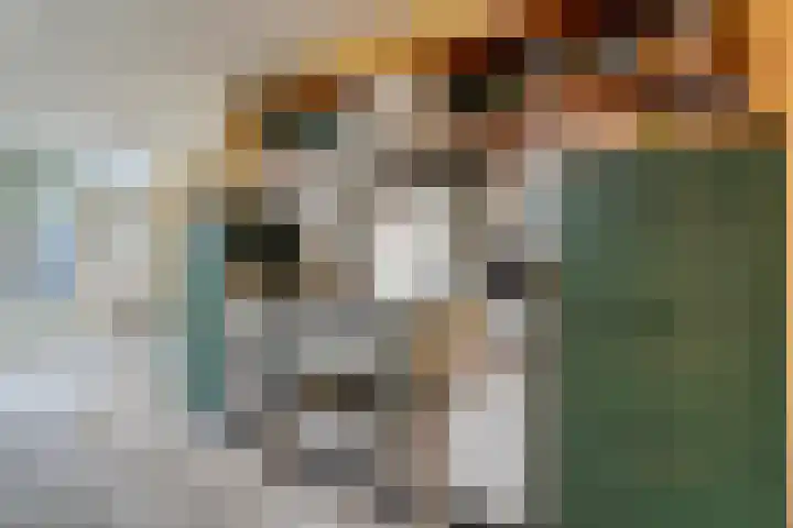 van Kempenhof 3 Dalfsen thumbnail 16