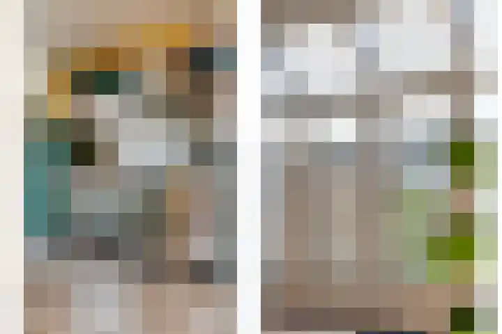 van Kempenhof 3 Dalfsen thumbnail 20