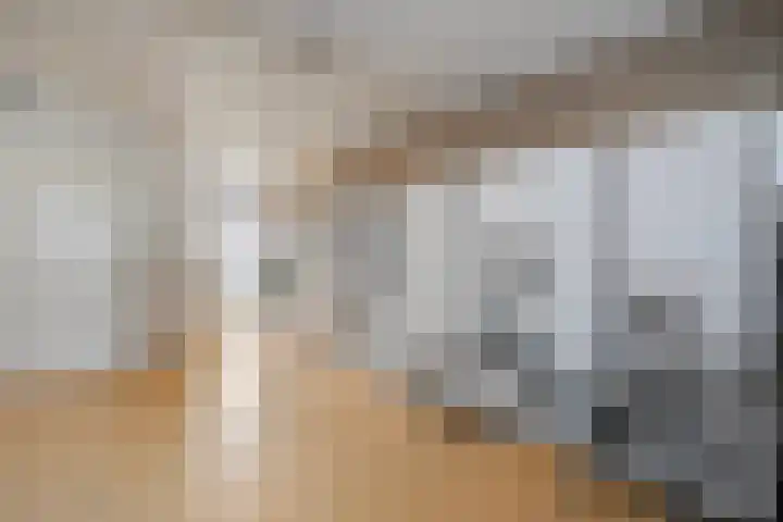van Kempenhof 3 Dalfsen thumbnail 22