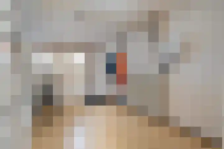 van Kempenhof 3 Dalfsen thumbnail 23