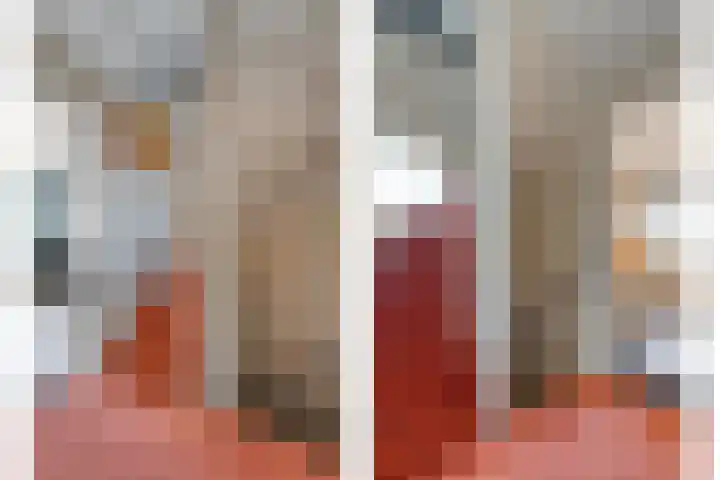 van Kempenhof 3 Dalfsen thumbnail 26