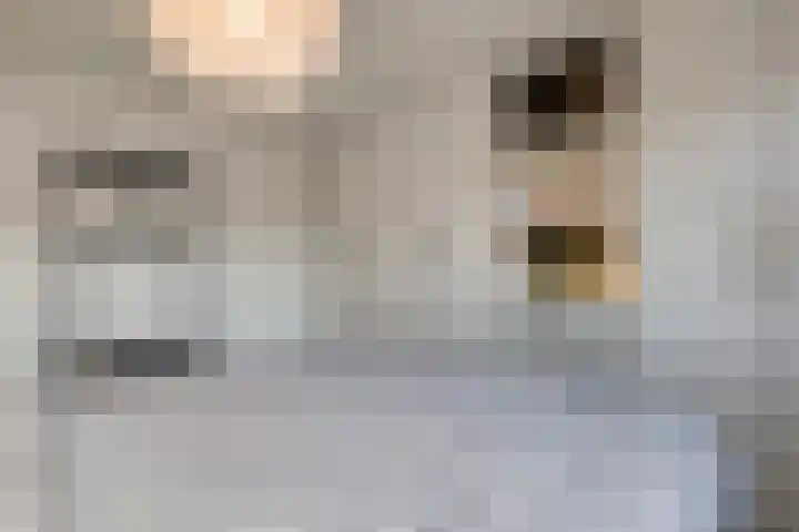 van Kempenhof 3 Dalfsen thumbnail 28