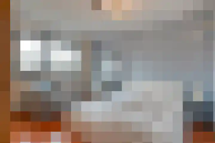van Kempenhof 3 Dalfsen thumbnail 29