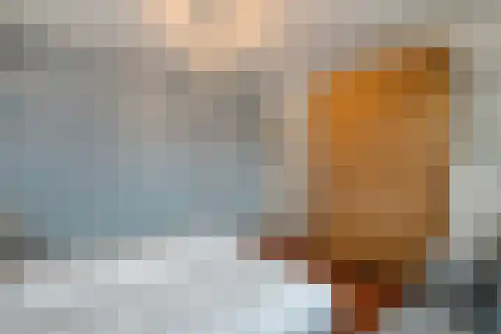van Kempenhof 3 Dalfsen thumbnail 30