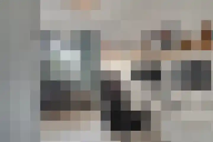 van Kempenhof 3 Dalfsen thumbnail 31