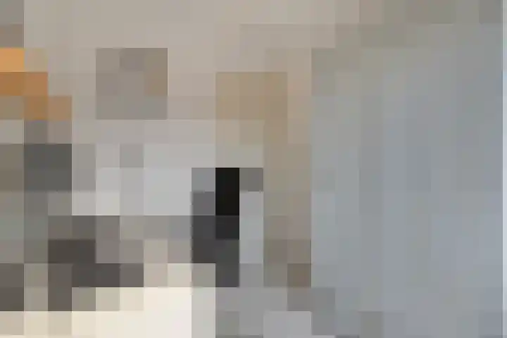 van Kempenhof 3 Dalfsen thumbnail 32