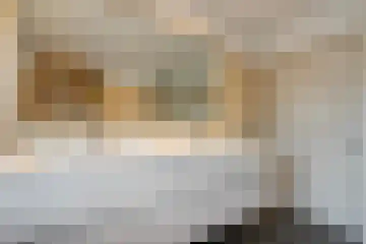 van Kempenhof 3 Dalfsen thumbnail 33