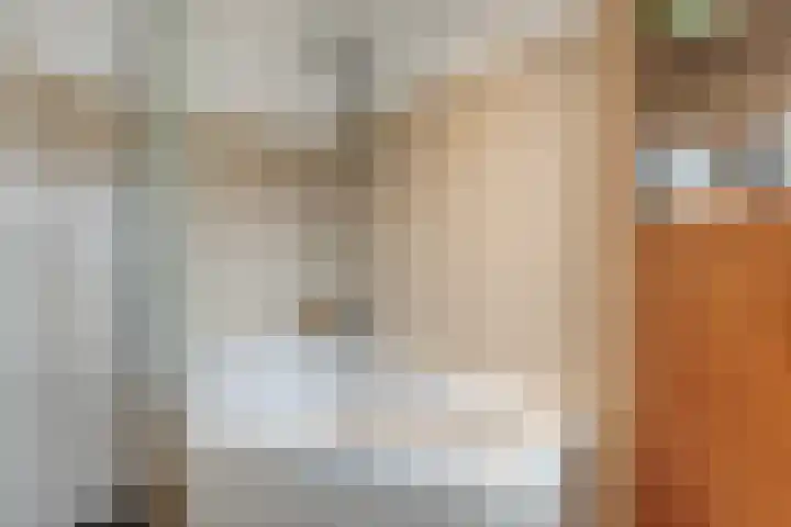 van Kempenhof 3 Dalfsen thumbnail 34