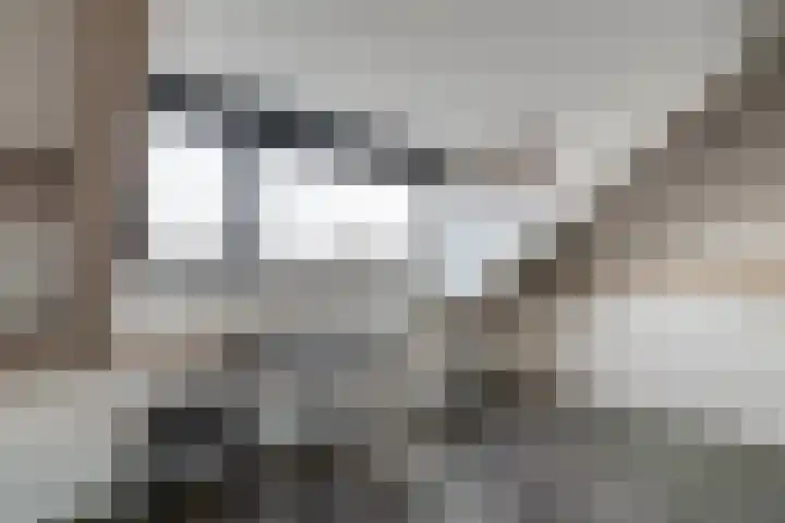 van Kempenhof 3 Dalfsen thumbnail 40