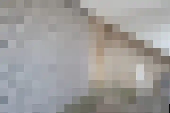 van Kempenhof 3 Dalfsen thumbnail 41
