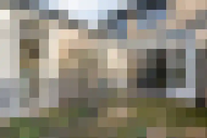 van Kempenhof 3 Dalfsen thumbnail 42
