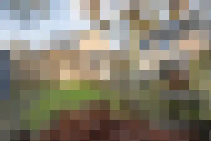 van Kempenhof 3 Dalfsen thumbnail 43