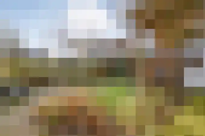 van Kempenhof 3 Dalfsen thumbnail 44