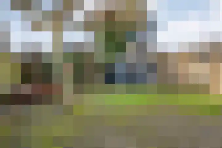 van Kempenhof 3 Dalfsen thumbnail 45