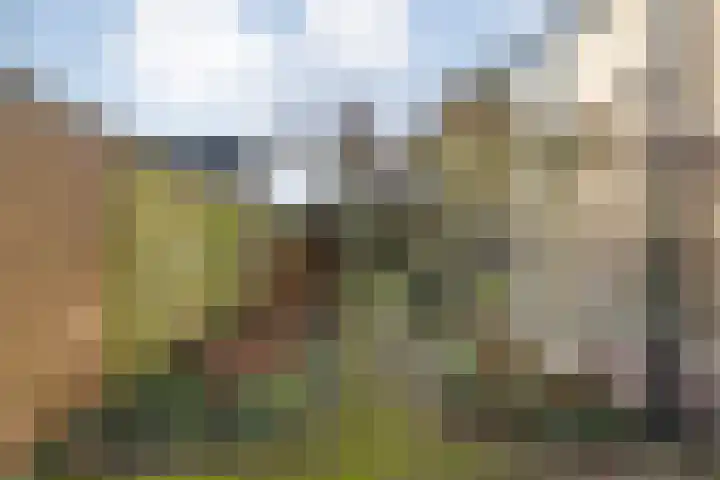 van Kempenhof 3 Dalfsen thumbnail 46