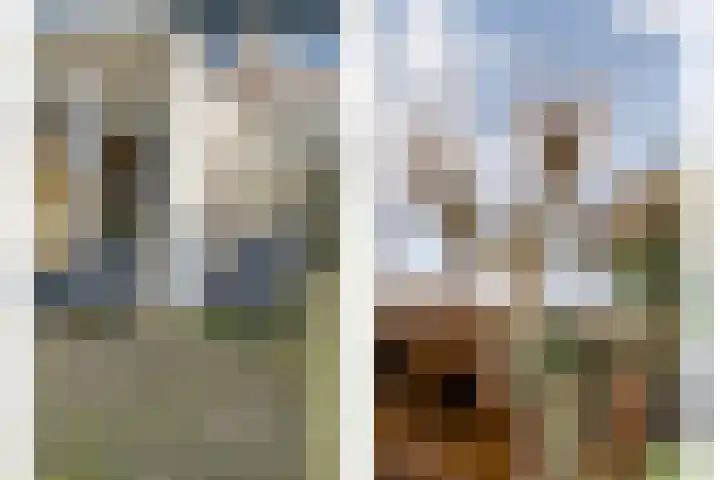 van Kempenhof 3 Dalfsen thumbnail 47