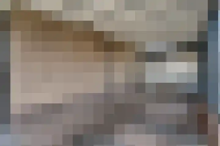 van Kempenhof 3 Dalfsen thumbnail 49