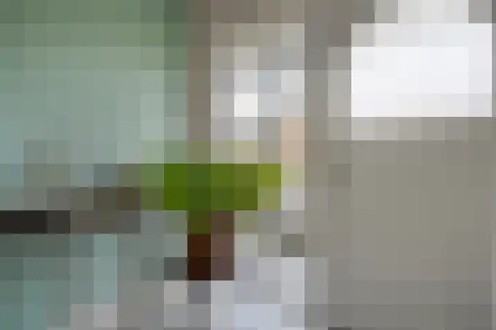 van Kempenhof 3 Dalfsen thumbnail 5