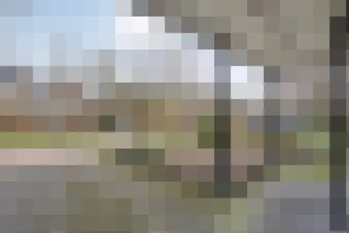 van Kempenhof 3 Dalfsen thumbnail 50