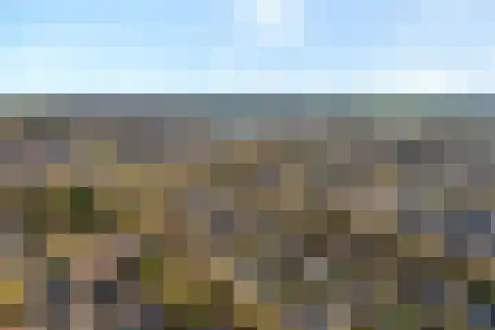 van Kempenhof 3 Dalfsen thumbnail 55