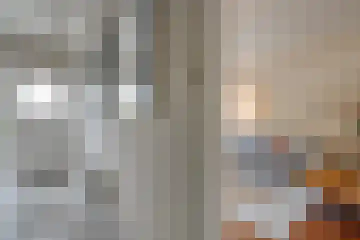 van Kempenhof 3 Dalfsen thumbnail 6