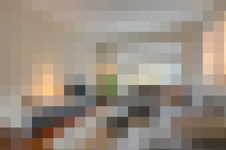 van Kempenhof 3 Dalfsen thumbnail 9