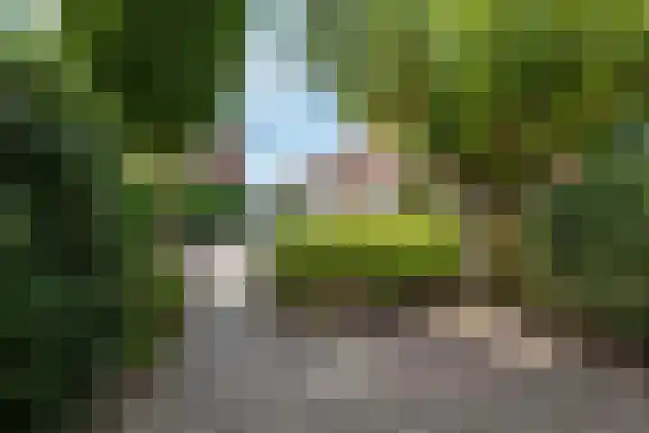 Van Kempenstraat 4 Voorschoten thumbnail 11