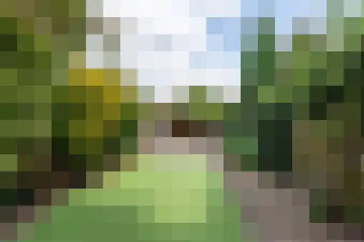 Van Kempenstraat 4 Voorschoten thumbnail 14