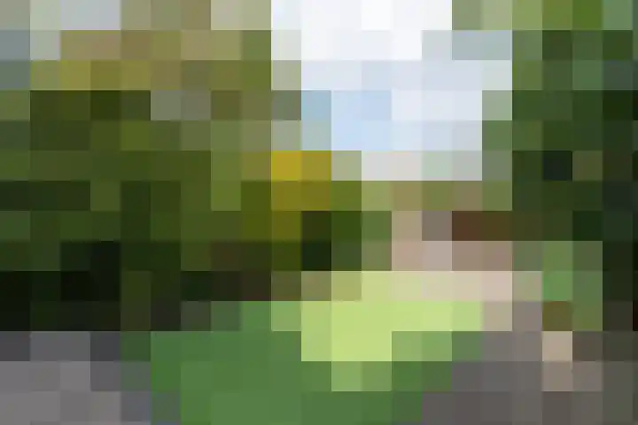 Van Kempenstraat 4 Voorschoten thumbnail 16