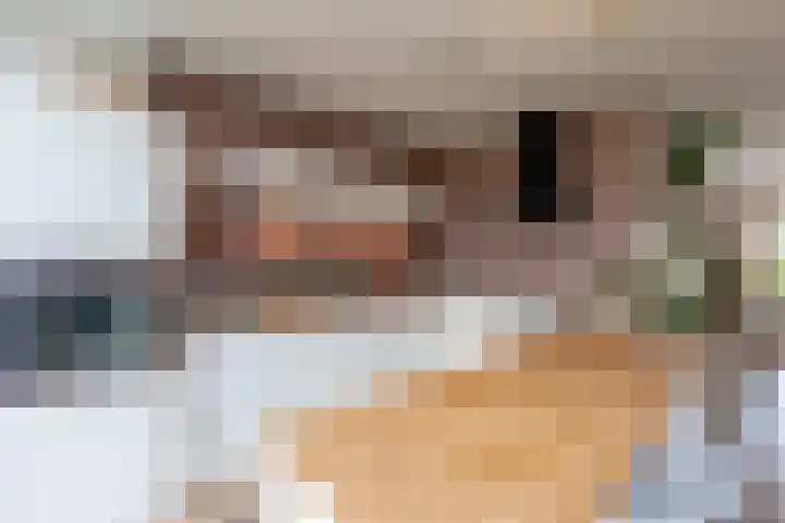 Van Kempenstraat 4 Voorschoten thumbnail 23