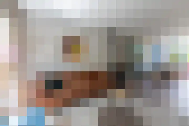 Van Kempenstraat 4 Voorschoten thumbnail 30