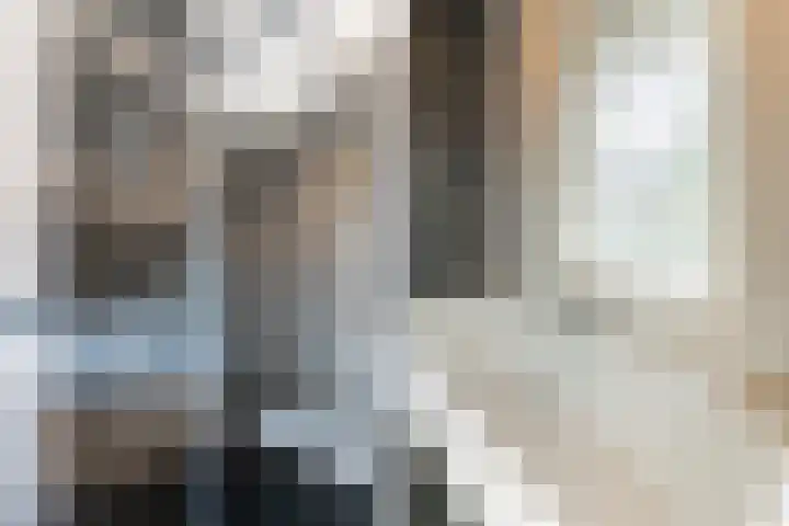 Van Kempenstraat 4 Voorschoten thumbnail 38
