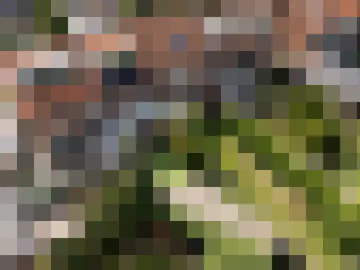 Van Kempenstraat 4 Voorschoten thumbnail 5