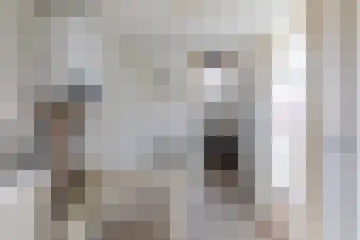 Van Kempenstraat 4 Voorschoten thumbnail 51