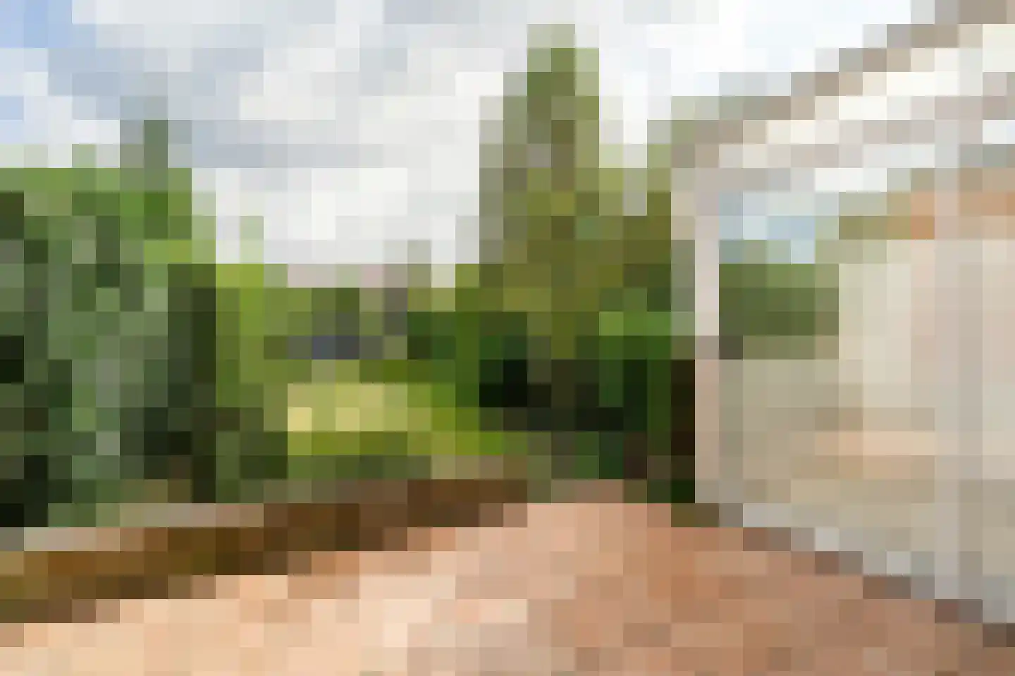 Van Kempenstraat 6 Voorschoten thumbnail 16