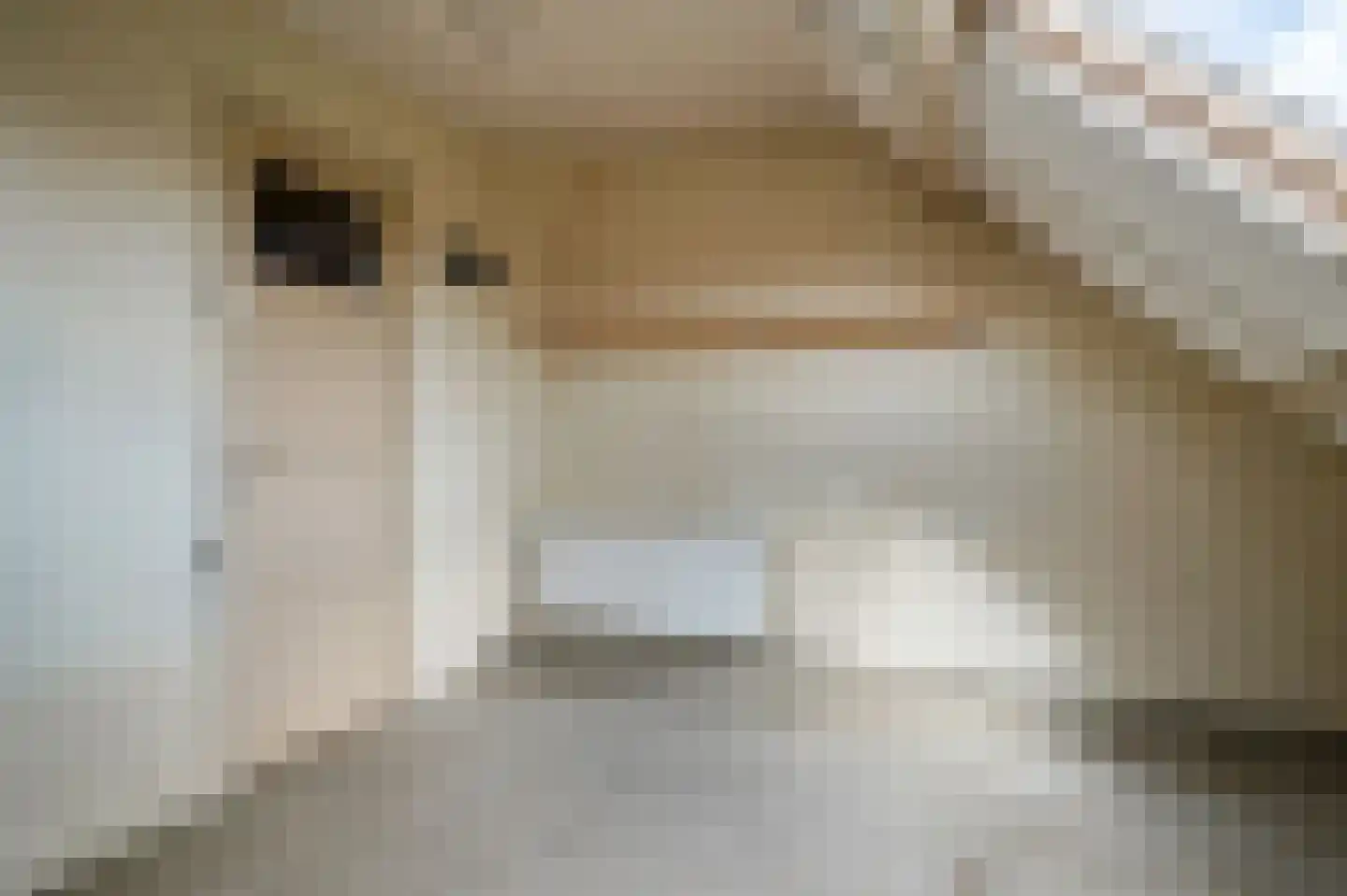 Van Kempenstraat 6 Voorschoten thumbnail 34