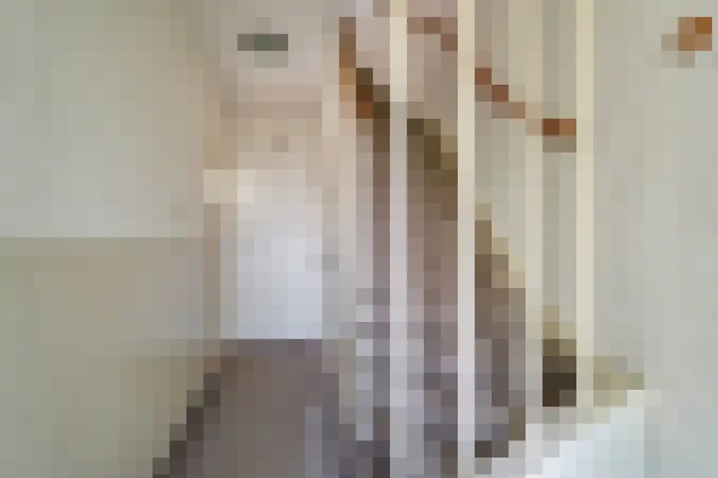 Van Kempenstraat 6 Voorschoten thumbnail 7