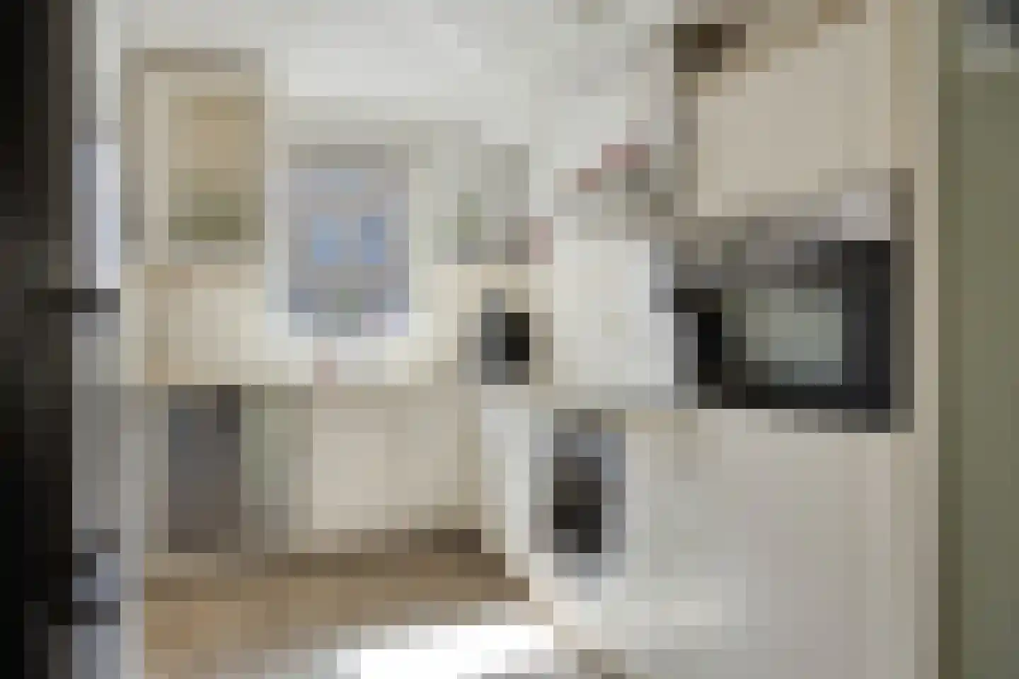 Van Keppelmarke 29 Zwolle thumbnail 12