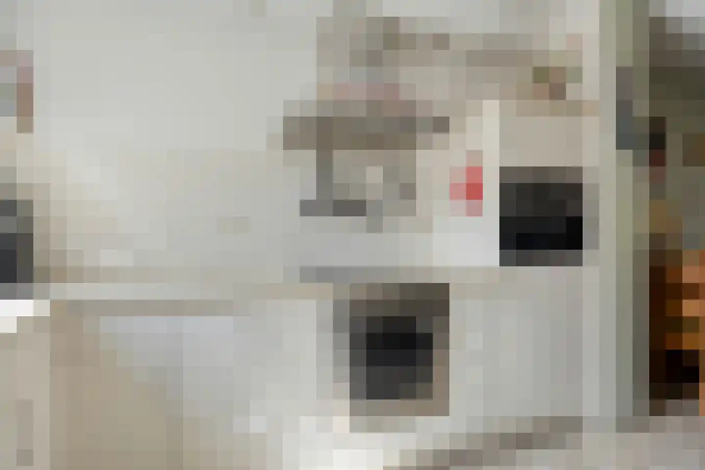 Van Keppelmarke 29 Zwolle thumbnail 14