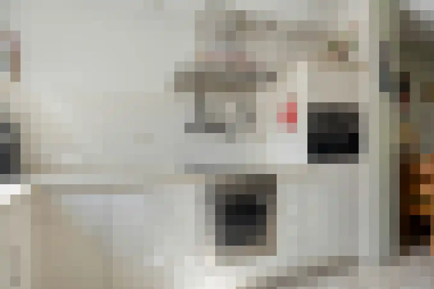 Van Keppelmarke 29 Zwolle thumbnail 14
