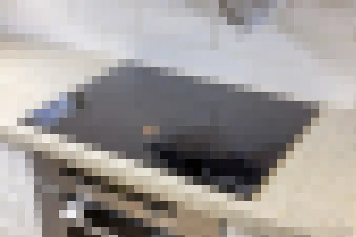 Van Keppelmarke 29 Zwolle thumbnail 15