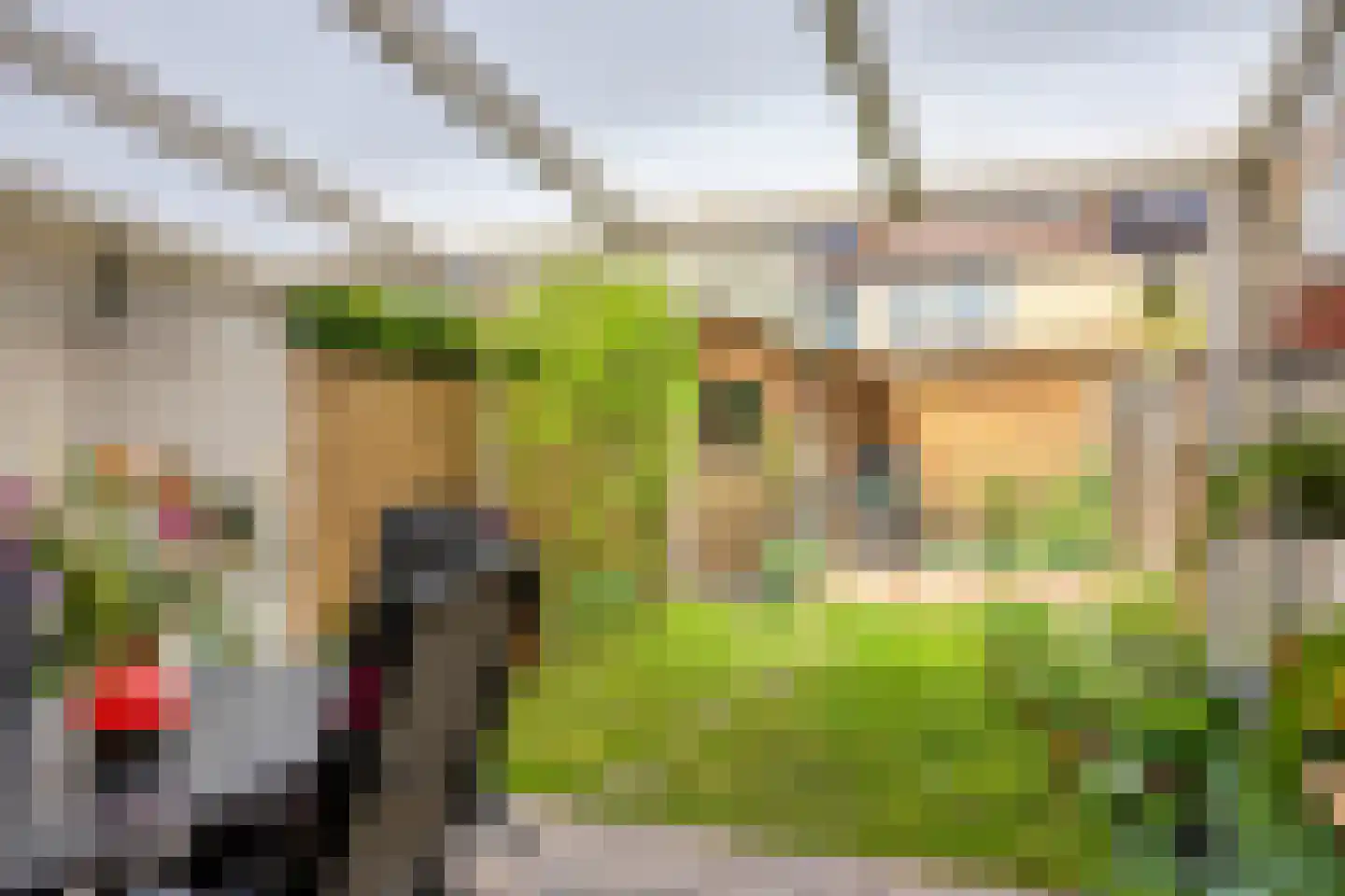 Van Keppelmarke 29 Zwolle thumbnail 30